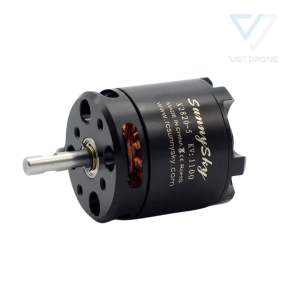 SUNNYSKY X2820 1100KV Brushless Motor